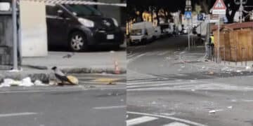 Cagliari, cornacchie e piccioni banchettano nel Largo Carlo Felice poco prima dell’inizio della maratona: “La città è in piena emergenza”(VIDEO)