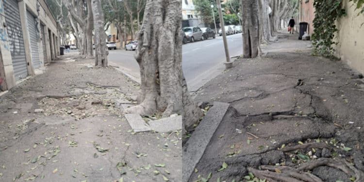 Cagliari, i cittadini si mobilitano per le modifiche a viale Merello: raccolte 500 firme in pochi giorni