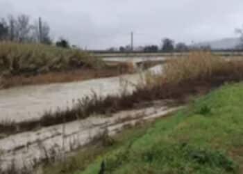 Maltempo in Emilia, Natale con allerta per rischio esondazione dei fiumi