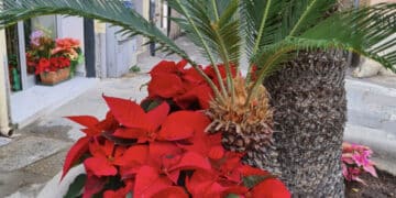 Cagliari, Arco di Palabanda off limits per il vecchio Corso in totale abbandono