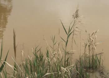 Cade nello stagno ghiacciato del giardino di casa: morta bimba di 2 anni