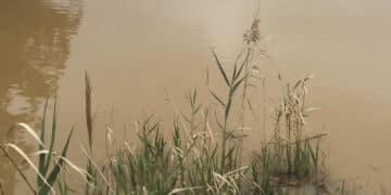 Cade nello stagno ghiacciato del giardino di casa: morta bimba di 2 anni