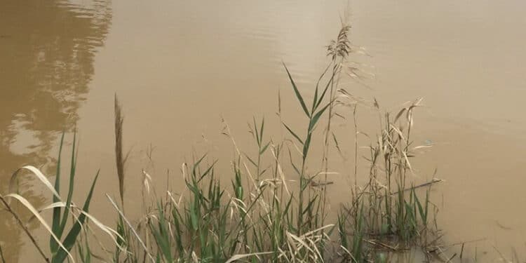 Cade nello stagno ghiacciato del giardino di casa: morta bimba di 2 anni