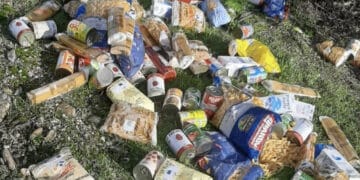 Domusnovas, decine di chili di cibo donati dalla Caritas buttati in campagna: “Il livello più basso di rispetto per chi dona e chi ne ha realmente bisogno”