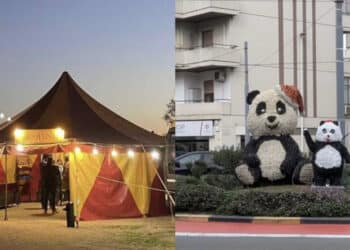 Quartu Sant’Elena, sotto l’albero di Natale tanti eventi dedicati a grandi e bambini
