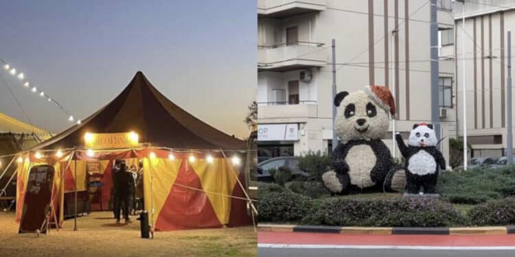 Quartu Sant’Elena, sotto l’albero di Natale tanti eventi dedicati a grandi e bambini