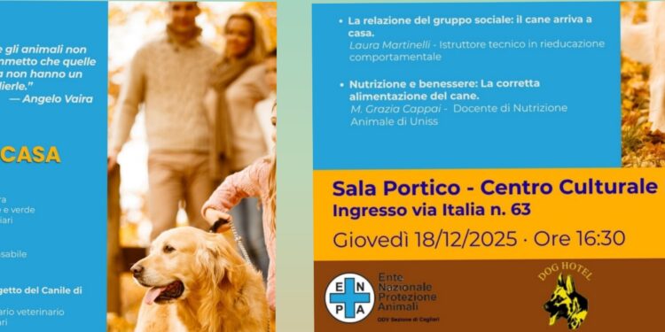 “Il cane: dal canile a casa”. Appuntamento con gli esperti a Cagliari