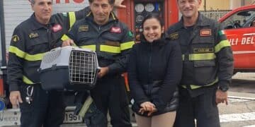 Gattino intrappolato nel vano motore viaggia fino a Quartu: salvato dai vigili del fuoco