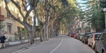 Rivoluzione in viale Merello a Cagliari, scatta la protesta: “Lasciate alberi, parcheggi e installate un autovelox”