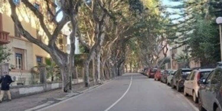 Rivoluzione in viale Merello a Cagliari, scatta la protesta: “Lasciate alberi, parcheggi e installate un autovelox”