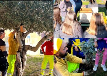 Sestu: nidi artificiali e mangiatoie per avvicinare i giovani alla biodiversità