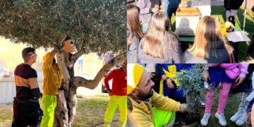 Sestu: nidi artificiali e mangiatoie per avvicinare i giovani alla biodiversità