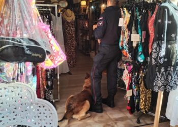 Sestu, avevano già tolto le placche anti taccheggio dai vestiti: tentano il furto ma si fanno arrestare