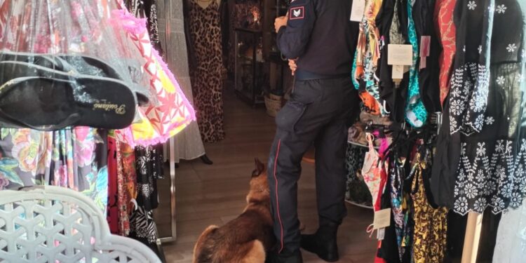 Sestu, avevano già tolto le placche anti taccheggio dai vestiti: tentano il furto ma si fanno arrestare