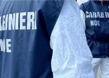 Montagne di rifiuti pericolosi in un’officina meccanica a Burcei: denunciato il proprietario