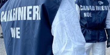 Montagne di rifiuti pericolosi in un’officina meccanica a Burcei: denunciato il proprietario