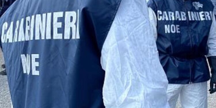 Montagne di rifiuti pericolosi in un’officina meccanica a Burcei: denunciato il proprietario