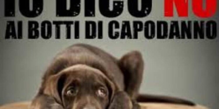 Botti e petardi a Capodanno, allarme cani e gatti anche in Sardegna: rischio infarti e traumi