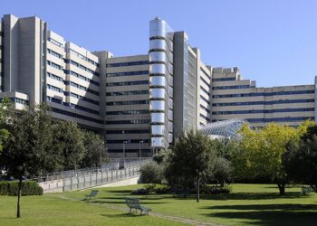 Da Cagliari agli Stati Uniti e ritorno: addio alle trasfusioni, rivoluzione per i talassemici in Sardegna