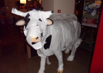 Cagliari, rivoluzione in viale Marconi: chiude Il Tucano e arriva Roadhouse, il colosso della carne