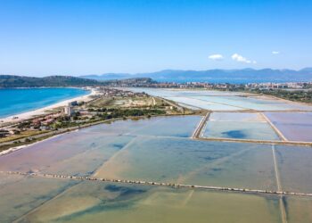 Cagliari, un paradiso naturale nel cuore della città: dopo 25 anni ok al piano per il parco di Molentargius