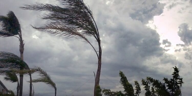Gonnosfanadiga, il maltempo scoperchia parte del tetto della scuola nuova