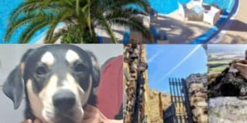 Sardara, dal degrado alla rinascita: una pioggia di milioni per strade, siti archeologici e immobili