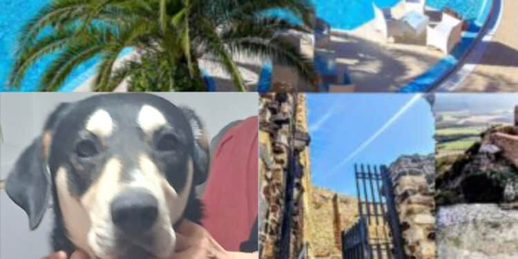 Sardara, dal degrado alla rinascita: una pioggia di milioni per strade, siti archeologici e immobili