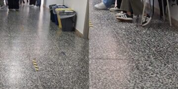 Cagliari, studenti in agitazione al De Sanctis: i termosifoni a singhiozzo fanno scattare la protesta