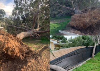 Emergenza maltempo a Castiadas, forti raffiche di vento buttano giù alberi e pali