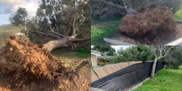 Emergenza maltempo a Castiadas, forti raffiche di vento buttano giù alberi e pali