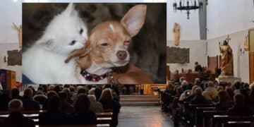 Monserrato, al Redentore tutti gli animali tra i banchi della chiesa per la benedizione