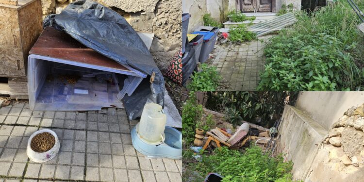 Cagliari, sabotata di nuovo la colonia felina: “Ci vorrebbero le telecamere”