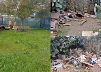 Monserrato, dal tugurio alla nuova colonia di via Capo Comino: il trasferimento dei gatti inizia non senza polemiche