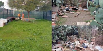 Monserrato, dal tugurio alla nuova colonia di via Capo Comino: il trasferimento dei gatti inizia non senza polemiche