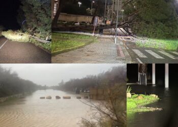 Alberi crollati, strade allagate, linee elettriche e telefoniche ko: ecco i danni causati dal ciclone