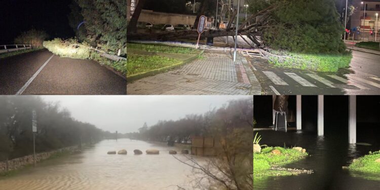 Alberi crollati, strade allagate, linee elettriche e telefoniche ko: ecco i danni causati dal ciclone