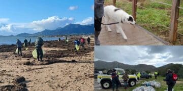 Sardegna, l’esercito dei volontari ripulisce le spiagge dopo il passaggio del ciclone Harry