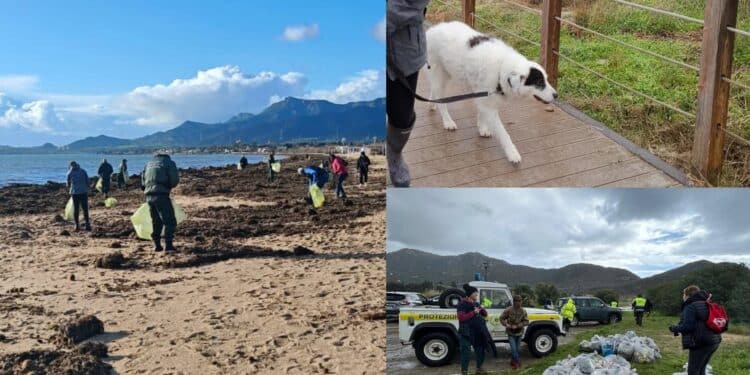 Sardegna, l’esercito dei volontari ripulisce le spiagge dopo il passaggio del ciclone Harry