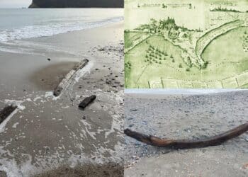 Cagliari, Poetto, ecco il relitto portato a riva dalle onde: messo in sicurezza dalla Soprintendenza