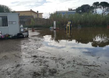 Quartu, la denuncia di Fratelli d’Italia: a Su Stangioni anni di abbandono, silenzi e incuria