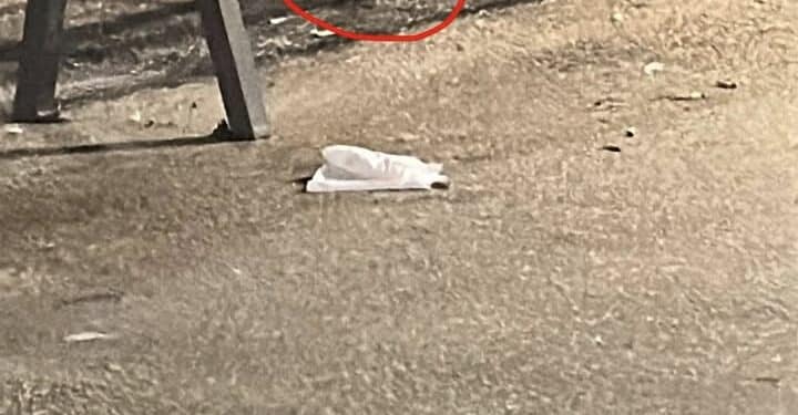 “Degrado totale a Cagliari, bollette della Tari alle stelle e topi che scorrazzano anche in via Roma”