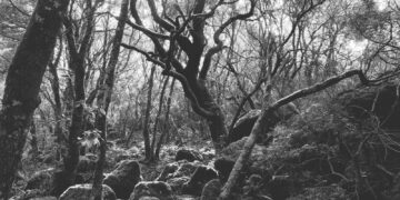 Morgongiori, muore a distanza di un anno esatto dal giovane figlio strappato alla vita da un malore improvviso