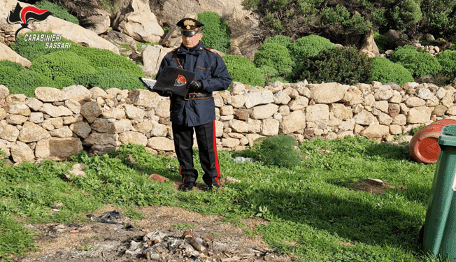 Roghi illegali e abbandono di rifiuti nell’area protetta dell’Asinara, fioccano le sanzioni