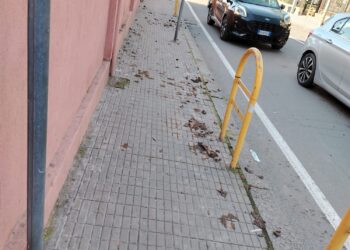 Cagliari, marciapiede impraticabile in via Quirra: residenti costretti a scendere in strada tra escrementi e scivoloni