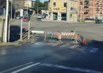Cagliari, abbattuto l’albero pericolante a causa del maltempo: fine dei disagi in viale Buon Cammino