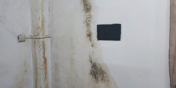 Cagliari, 70enne gravemente malata costretta a vivere tra liquami e pericoli: l’appello disperato del figlio