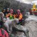 Aggius, bloccati sul versante di un torrente: 3 cani salvati dai vigili del fuoco