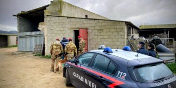 Operazione antidroga dei carabinieri in un’azienda agricola a Guasila: due arresti