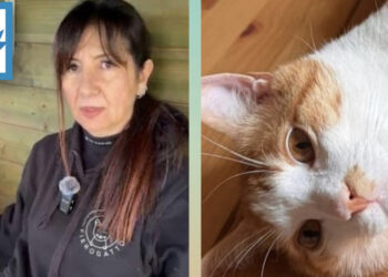 Radio Zampetta Sarda- Fierogatto propone l’adozione di Mimi